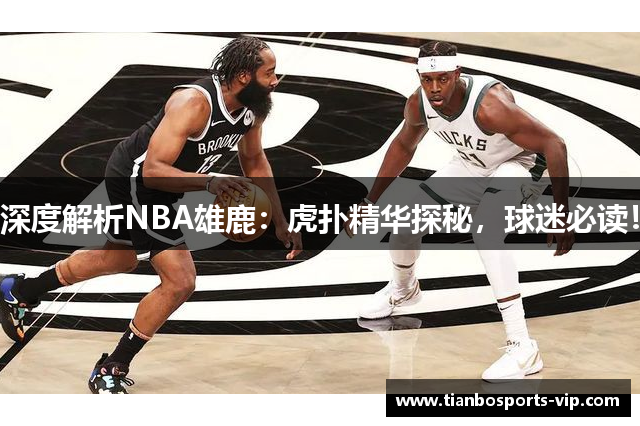 深度解析NBA雄鹿：虎扑精华探秘，球迷必读！