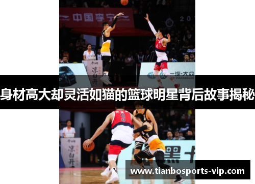 身材高大却灵活如猫的篮球明星背后故事揭秘