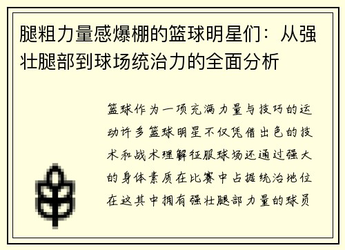 腿粗力量感爆棚的篮球明星们：从强壮腿部到球场统治力的全面分析